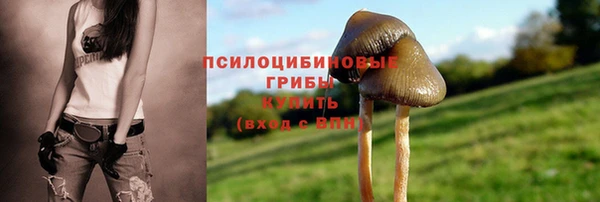 MDMA Аркадак