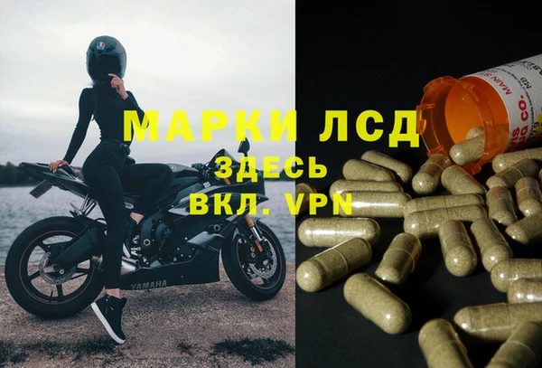 PSILOCYBIN Арсеньев