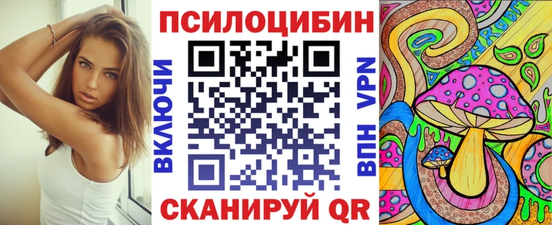 кракен ССЫЛКА  Сокол  Псилоцибиновые грибы мухоморы 